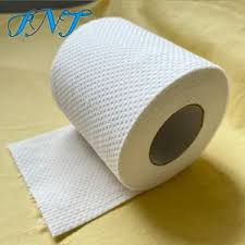 Paquet de 10 rouleaux de papier hygiénique